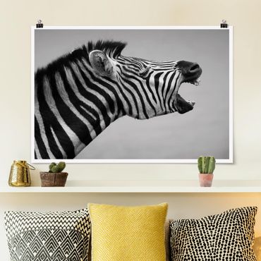 Posters Roaring Zebra ll