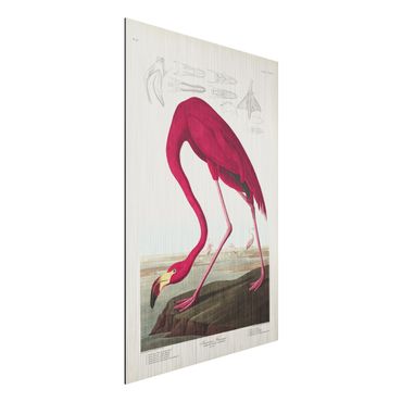 Aluminium Dibond schilderijen Vintage Board American Flamingo