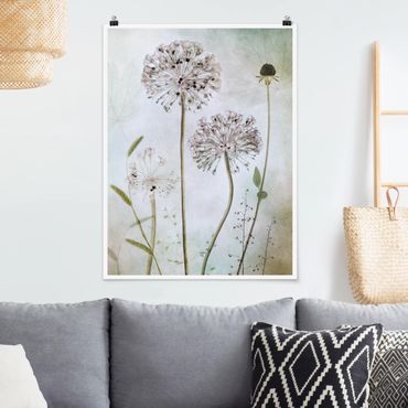 Posters Allium flowers in pastel