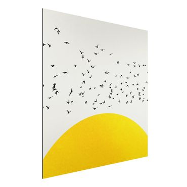Aluminium Dibond schilderijen Flock Of Birds In Front Of Yellow Sun