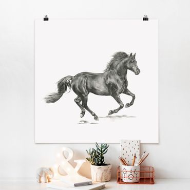 Posters Wild Horse Trial - Stallion