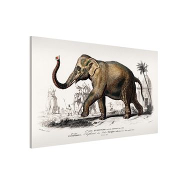 Magneetborden Vintage Board Elephant