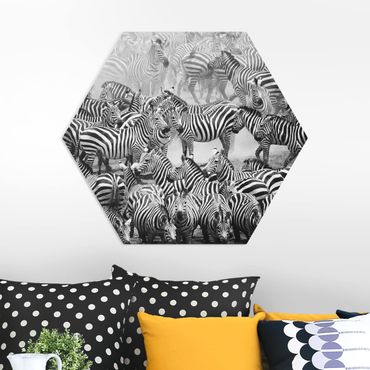 Hexagons Forex schilderijen Zebra herd II