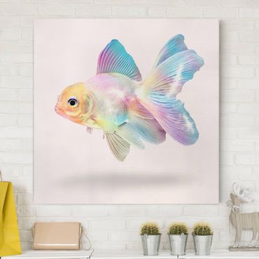 Canvas schilderijen Fish In Pastel
