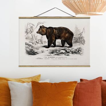 Stoffen schilderij met posterlijst Vintage Board Brown Bear