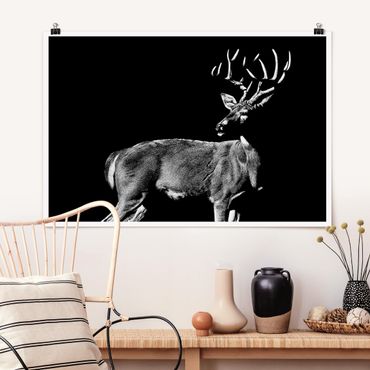 Posters Deer In The Dark