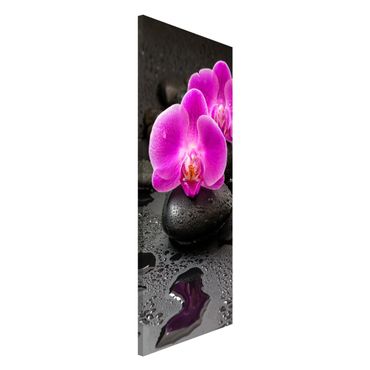 Magneetborden Pink Orchid Flower On Stones With Drops