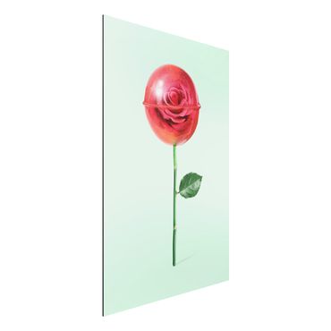 Aluminium Dibond schilderijen Rose With Lollipop