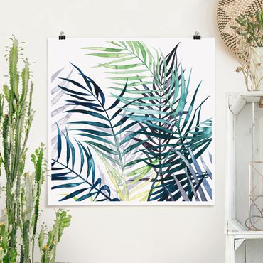 Posters Exotic Foliage - Palme
