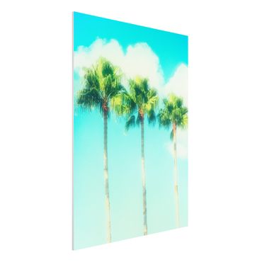 Forex schilderijen Palm Trees Against Blue Sky