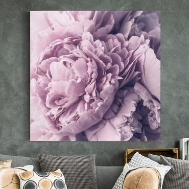 Canvas schilderijen Purple Peony Blossoms