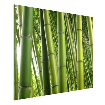 Forex schilderijen Bamboo Trees No.1