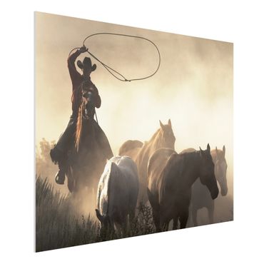 Forex schilderijen Cowboy silhouette
