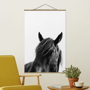 Stoffen schilderij met posterlijst Curious Horse