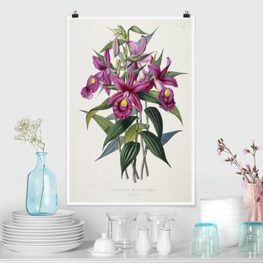 Posters Maxim Gauci - Orchid I