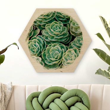 Hexagons houten schilderijen Water Colours - Green Succulents