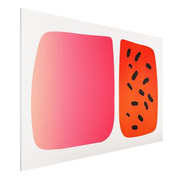 Forex schilderijen Abstract Shapes - Melon And Pink