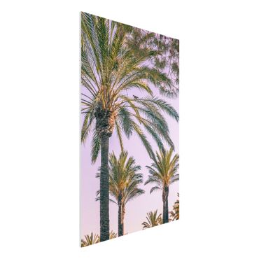 Forex schilderijen Palm Trees At Sunset