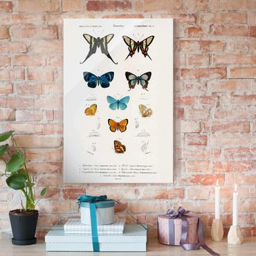 Glasschilderijen Vintage Board Butterflies I