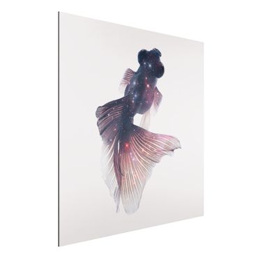 Aluminium Dibond schilderijen Fish With Galaxy