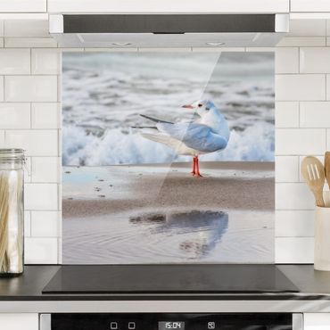 Spatscherm keuken Seagull On The Beach In Front Of The Sea