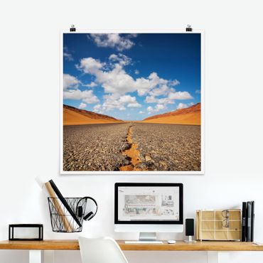 Posters Desert Road