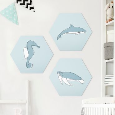 Hexagons Forex schilderijen - 3-delig Dolphin Turtle Seahorse Line Art