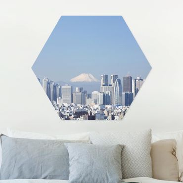 Hexagons Forex schilderijen Tokyo In Front Of Fuji