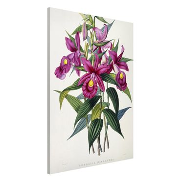 Magneetborden Maxim Gauci - Orchid I