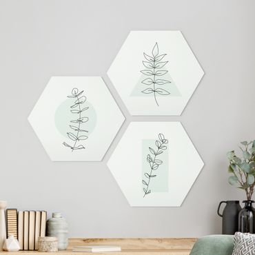 Hexagons Aluminium Dibond schilderijen - 3-delig Branch Geometry Line Art Set