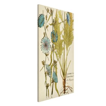 Magneetborden Vintage Botany In Blue Chicory
