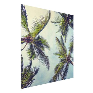 Aluminium Dibond schilderijen The Palm Trees