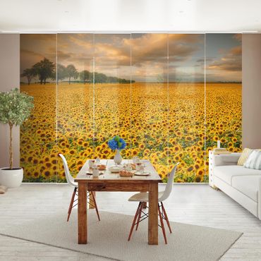 Schuifgordijnen Field With Sunflowers