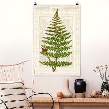 Posters Ferns Of The Garden V