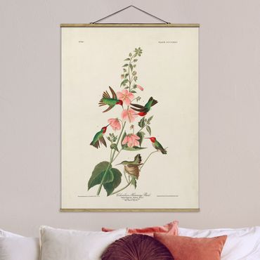 Stoffen schilderij met posterlijst Vintage Board Colombian Hummingbird