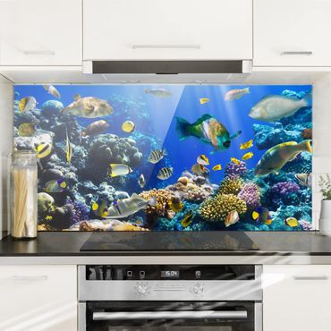 Spatscherm keuken Underwater Reef