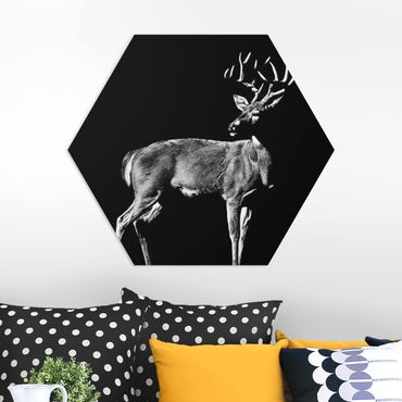 Hexagons Forex schilderijen Deer In The Dark