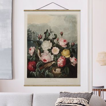 Stoffen schilderij met posterlijst Botany Vintage Illustration Of Roses