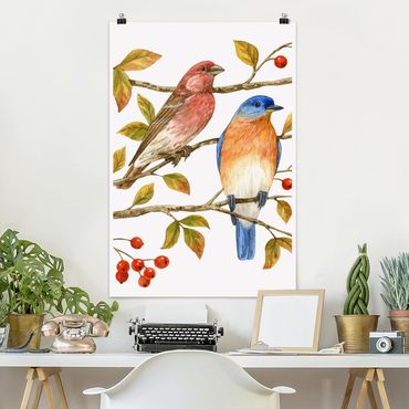 Posters Birds And Berries - Bluebird