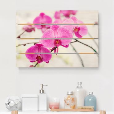 Houten schilderijen op plank Close-Up Orchid