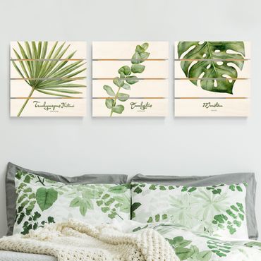 Houten schilderijen op plank - 3-delig Watercolour Botany