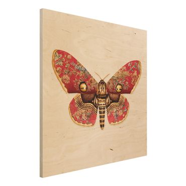 Houten schilderijen Vintage Moth