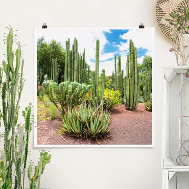 Posters Cactus Landscape