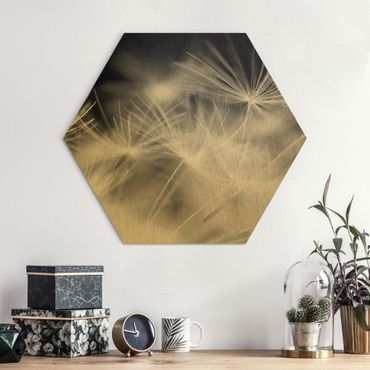 Hexagons Aluminium Dibond schilderijen Moving Dandelions Close Up On Black Background