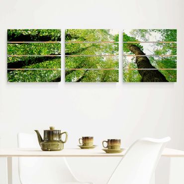Houten schilderijen op plank - 3-delig Trees Of Life