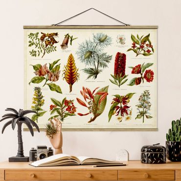 Stoffen schilderij met posterlijst Vintage Board Tropical Botany I