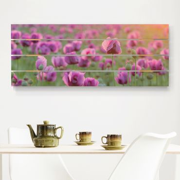 Houten schilderijen op plank Purple Poppy Flower Meadow In Spring