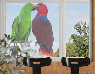 Raamstickers Parrots In Love
