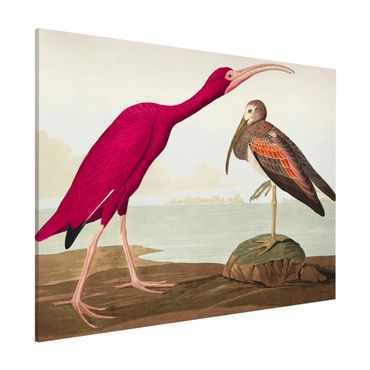 Magneetborden Vintage Board Red Ibis