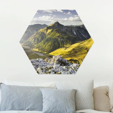 Hexagons Forex schilderijen Mountains And Valley Of The Lechtal Alps In Tirol